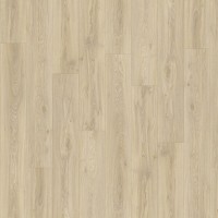 Blackjack Oak 22215